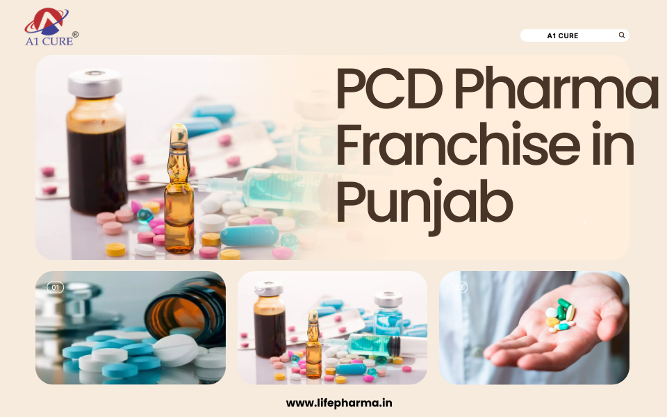 PCD Pharma Franchise in Punjab
