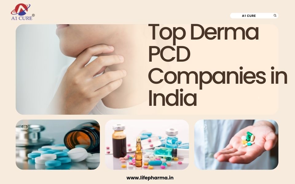 Top Derma PCD Companies in India
